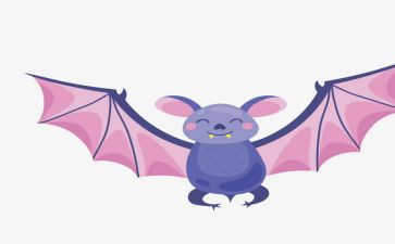 蝙蝠教学反思参考6篇