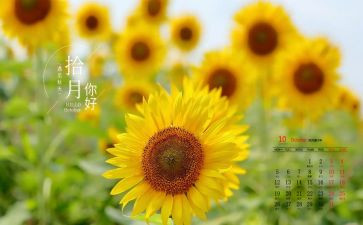 10月销售工作计划8篇