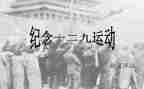 公司129活动方案优秀5篇