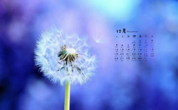 中班2024年12月工作总结8篇