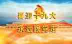 小学生写19大心得体会推荐6篇