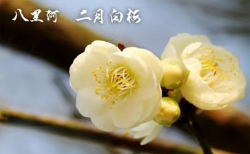1_2月份工作计划5篇
