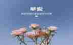 3月的工作总结5篇