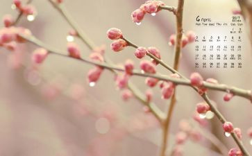 4月活动总结通用5篇