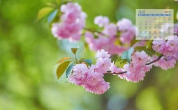 安全工作4月工作计划7篇