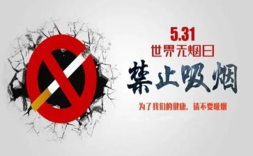 531讲话精神心得体会精选8篇
