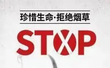 531讲话精神心得体会推荐6篇