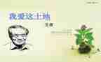 艾青的诗读后感500字8篇