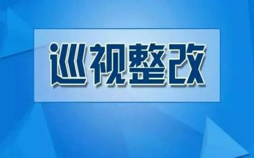 案后整改报告模板5篇