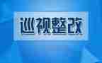 案后整改报告模板5篇