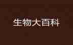 生物工作计划推荐6篇
