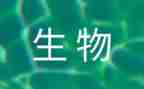 初中生物上学期工作计划5篇