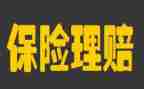 保险公司工作总结个人总结精选5篇
