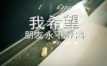 毕业前的个人总结优质5篇