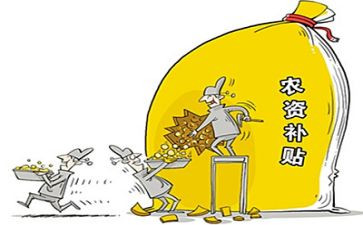 四零后补贴申请书模板8篇