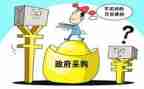 采购年度总结6篇