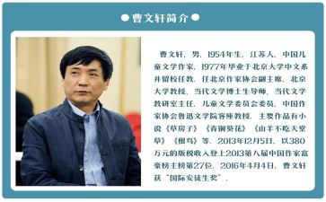 曹文轩根鸟读后感7篇