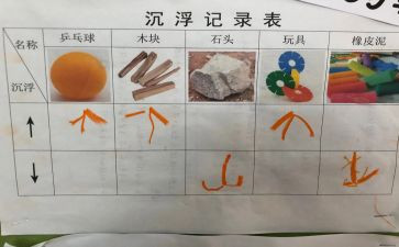 水的沉浮教案精选8篇