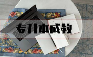 成教办工作总结5篇