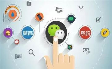程序员的简历模板优秀6篇