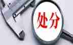 申请处分申请书5篇