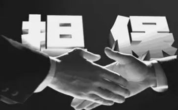 借款担保人合同5篇