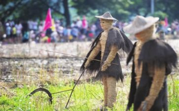 《稻草人》稻草人读后感优秀8篇