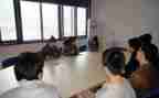 学生顶岗实习总结推荐5篇