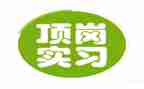 仓管顶岗实习总结6篇