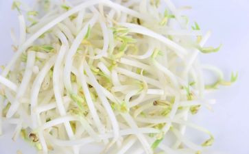 发豆芽记作文最新8篇