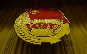 对团的心得体会作文优秀6篇