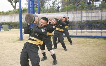 教师队伍建设情况调研报告5篇