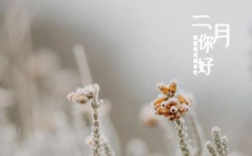 十二月幼儿园工作计划6篇