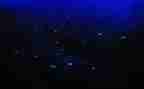 繁星的读后感400字8篇