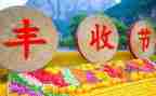 中国丰收节活动总结7篇