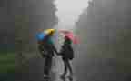 《风雨》读后感7篇