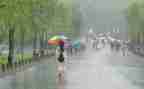 写风雨桥的作文300字5篇