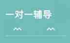 大学小辅导的工作计划精选5篇