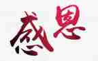 我感恩我的作文模板7篇