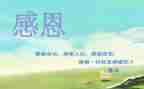 成长与感恩演讲稿模板8篇