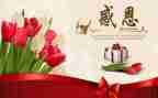 总结感恩节活动总结最新8篇