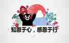 感恩我的老师作文8篇