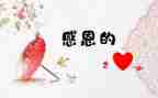 我很感激他作文模板8篇