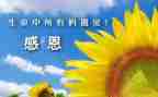 关于感谢母亲的作文6篇