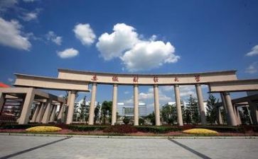 2024高校教师总结优质6篇
