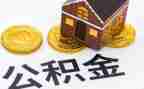 公积金合同模板5篇