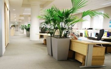公司工作报告及计划模板8篇