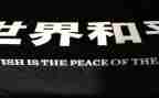 谈战争与和平心得体会最新6篇