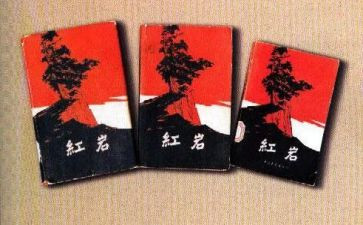 《红岩》读后感优秀作文5篇