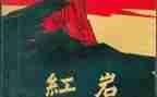 红岩精选读后感5篇